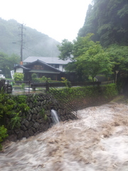 20120714_092044.jpg