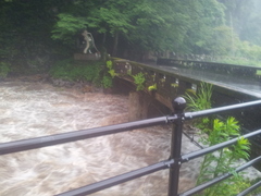 20120714_092346.jpg