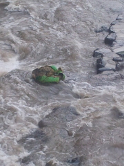 20120714_183702.jpg
